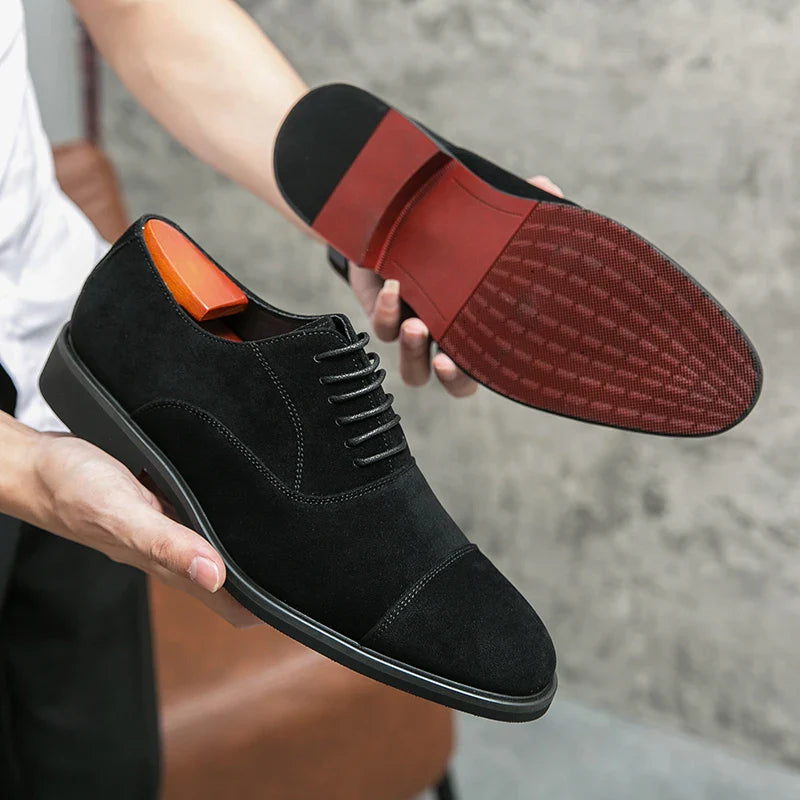 Hamilton PREMIUM  Oxford